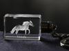 Falabella - Crystal Pendant with Photo of a Horse, Illuminated Pendant, Unique Gift by Art-Dog Brand