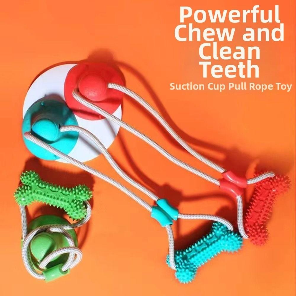 Bite Resistant Puppy Chew Toy Suction Cup Pet Molar Bite Toy Pet Interactive Toys Pet Supplies