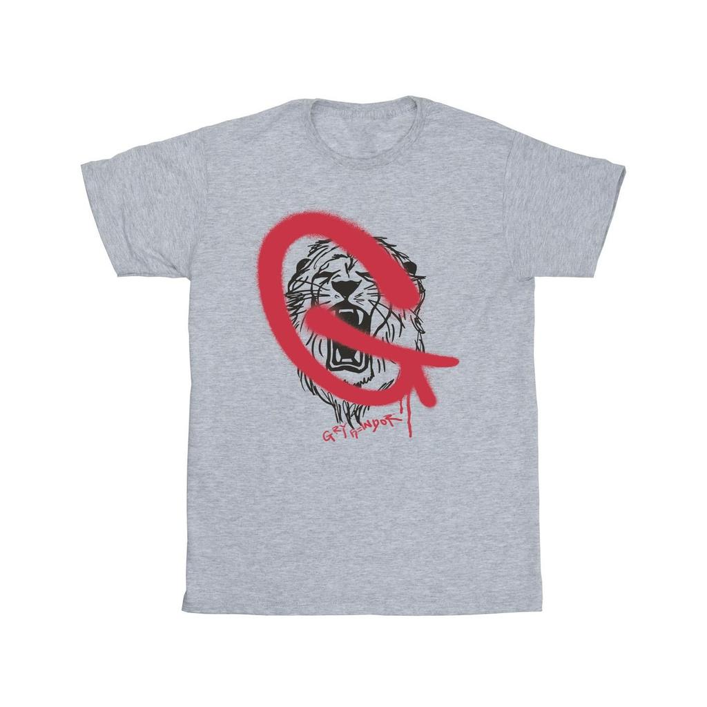 Harry Potter Mens Gryffindor Pop Spray T-Shirt