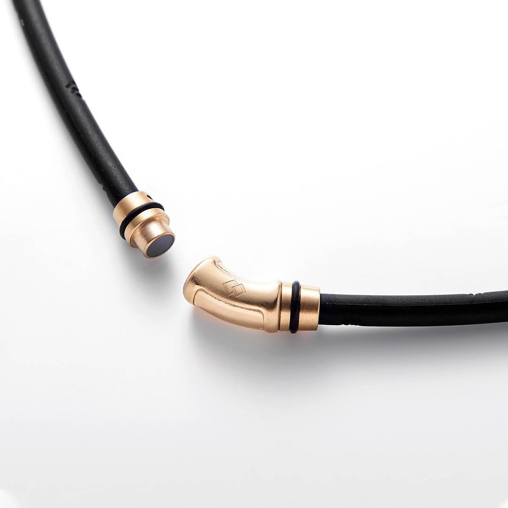 Colantotte Crest R EX Silver Necklace