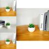 Simulated Succulent Bonsai Pot With Lightweight Pvc For Home Office Interior Design