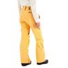 Burton Брюки Ak Goretex Summit