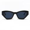 2pcs Vintage Polygon Square Sunglasses Women New Fashion Cat Eye Sun Glasses Female Brand Designer Retro Shades Eyewear UV400