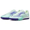 Nike Mercurial Dream Speed Vapor 14 Academy Tf 'Зеленый Фиолетовый' CV0977-375
