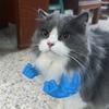 Подвесное на шею Кошка Мышечная шея Рука Забавный Костюм Косплей для питомца Питомец Зеленая Гигантская Рука Для Кошек Собак