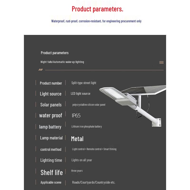 FY100 Solar LED Street Light