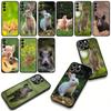 Cover for Apple iPhone 16 15 14 Plus 13 12 Mini 17 Pro Max + ProMax 16E Air Phone Case Rabbit Wild Boar Pig