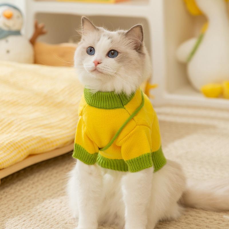 Осенне-зимняя теплая вязаная сумка для кошек, милый свитер для лысых кошек, плюшевая собака, чем медведь, одежда для домашних животных