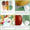 Multiple Sized Balloon Arch Latex Party Balloons Garland Kits Reusable Balloon Set for Wedding Baby Shower Party Decorations