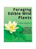 Книга Foraging Edible Wild Plants of New England : A Guide To Identifying, Harvesting, and Preparing 90 Wild Plants