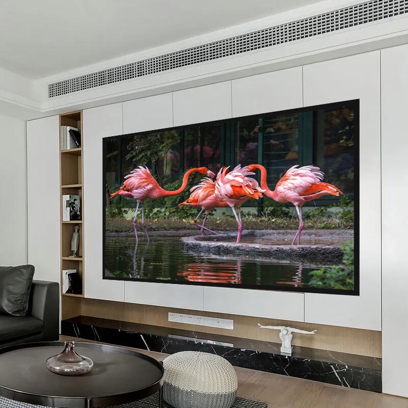 Lan Cai He Fixed Frame HD Anti-Light Projector Screen