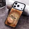 Чехол для телефона Орангутан Обезьяна Приматы Животное для iPhone 17 16 15 Pro Max Air 14 13 12 11 Plus Ударопрочный Capa Чехол