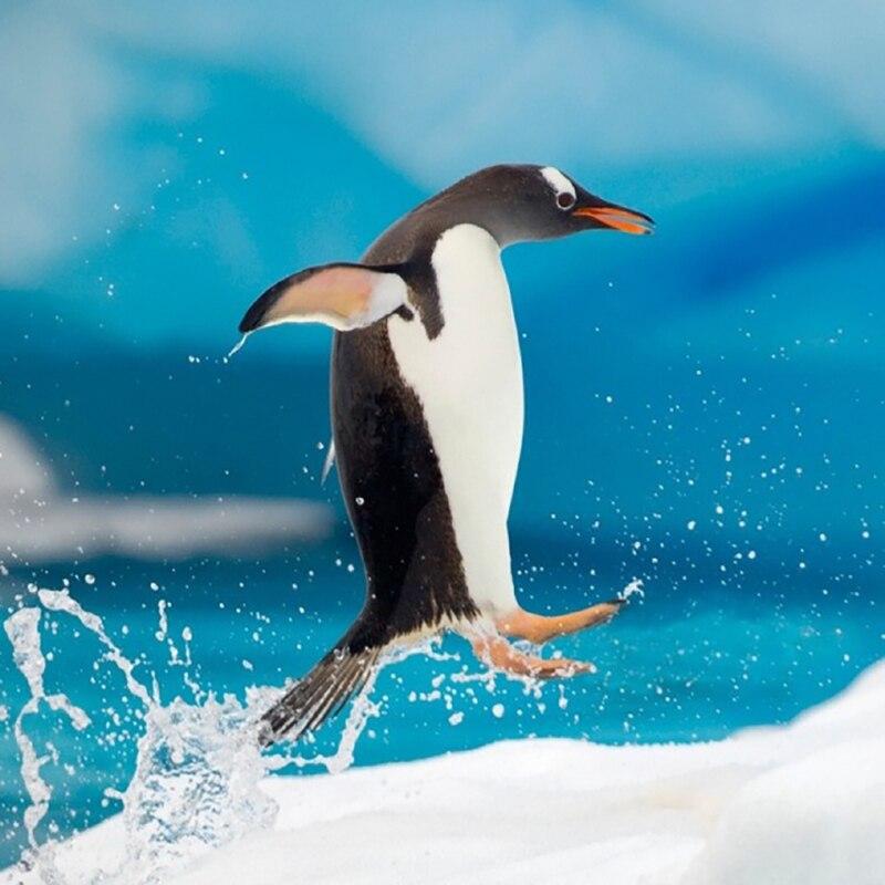 5D Diamond Painting Penguin Full Round Drill Animal Diamond Embroidery Mosaic Rhinestone Home Decor Wall Art Gift