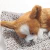 TATOTTE Realistic Plush Dog Figurine with a Cute Sleeping Face, Activated Charcoal Included, Soothing Decor (Chihuahua BR)