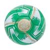 Celtic FC Turbine Print Football