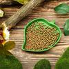 Reptile Dual-Use Feeding & Drinking Bowl - Easy to Clean for Small Pets