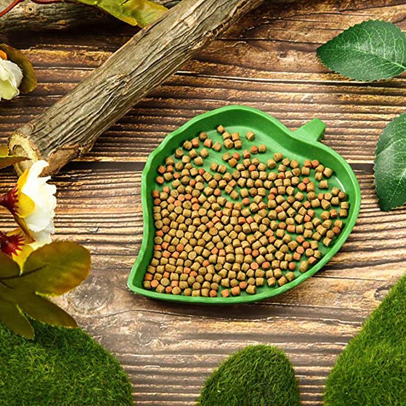 Reptile Dual-Use Feeding & Drinking Bowl - Easy to Clean for Small Pets