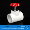 Home PPR Stop Valve for Hot & Cold Water - All Copper Core