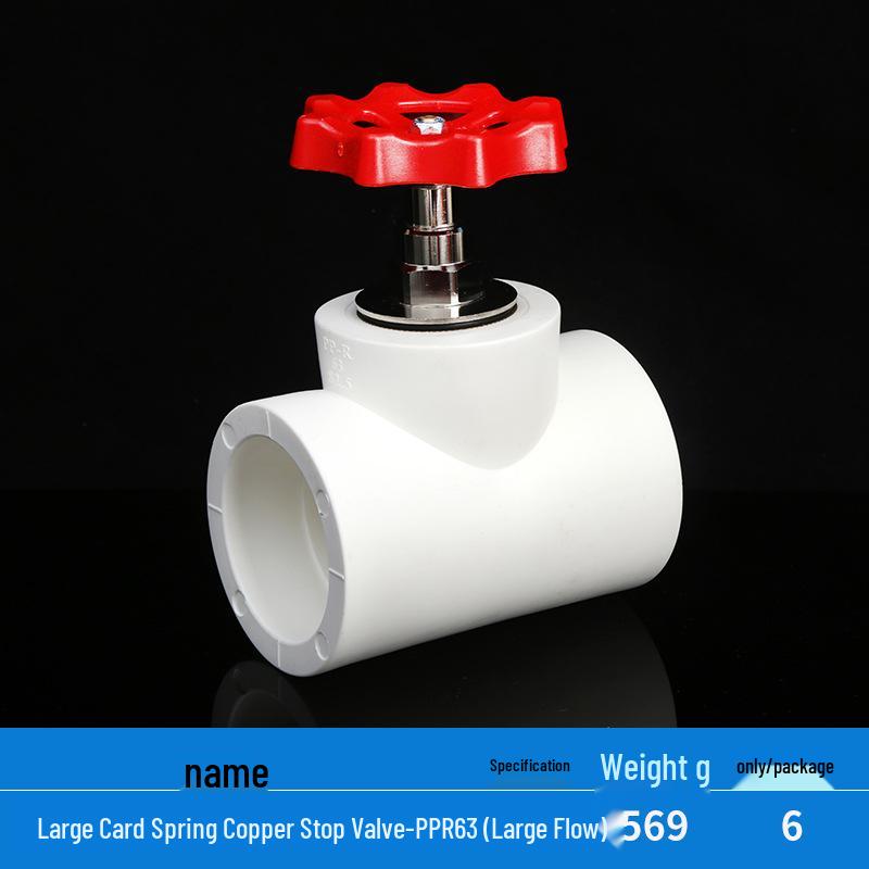 Home PPR Stop Valve for Hot & Cold Water - All Copper Core