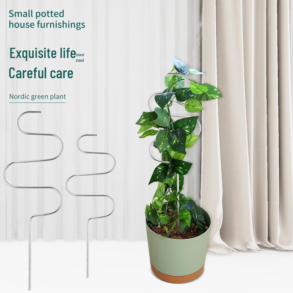 Stainless Steel Indoor Plant Support Frame with Leaf Protector