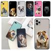 Cute French English Bulldog Phone Case For iPhone Samsung Galaxy Redmi Xiaomi Oppo OnePlus Note S A 7 8 9 10 11 12 13 14 20 21 22 23 53 54 Pro Ultra