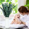 10 шт. Сухие стебли эвкалипта Цветочная композиция Искусственное растение Букет Искусственный стебель растения для украшения дома, сада, свадьбы, вечеринки