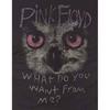 Pink Floyd Unisex Adult What Do You Want From Me? Owl T-Shirt