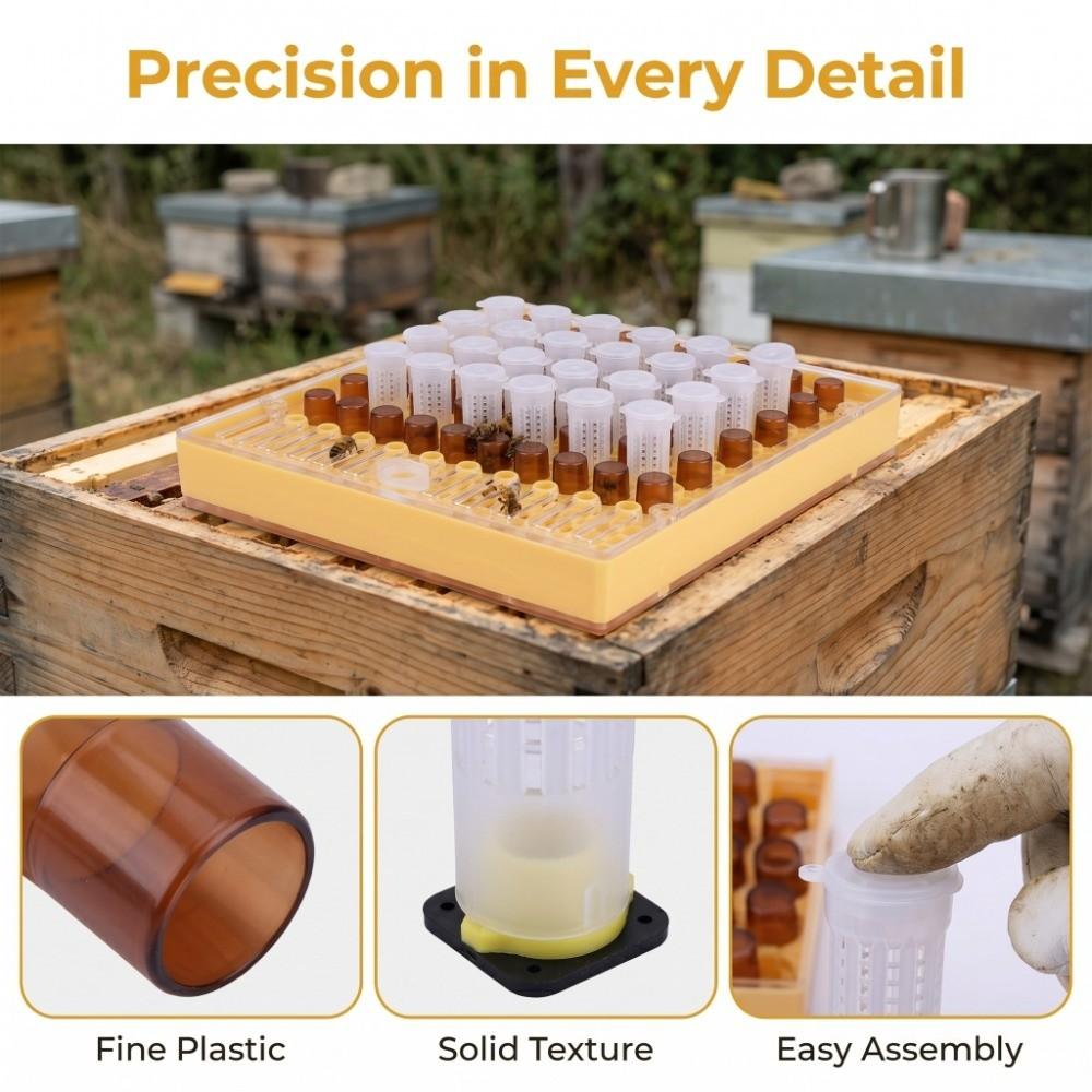 High Quality Plastic Queen Rearing Cup Kit Queen Rearing Cage Set  Raise Your Own Queens