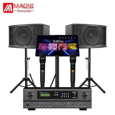 Malone KT-330 Профессиональная домашняя аудиосистема KTV Штепсель CN (адаптер в комплекте)