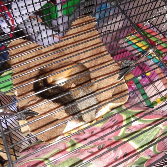 Двухуровневый маленький питомец хомяк белка попугай подвесной теплый гамак гнезда клетка