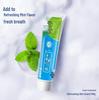 Зубная паста Sanqi Soothing Mint Gum Care