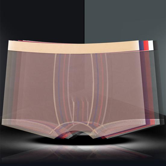 Men Boxer Underwear Mid-rise Elastic Waist Perspective Mesh Yarn Shorts