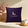 Popular LLushed Cushion Cover Stylish Washable Pillow Cover Ideal for Couch Bedroom Car Decoration