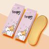 Shixin Tsundere Cat Heating Insoles