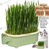 Гидропонный горшок для кошачьей травы, комнатная кошачья трава, гидропонный посадочный горшок - новинка для начинающих, лакомства для домашних животных, почвенный раствор для полива для сада, балкона