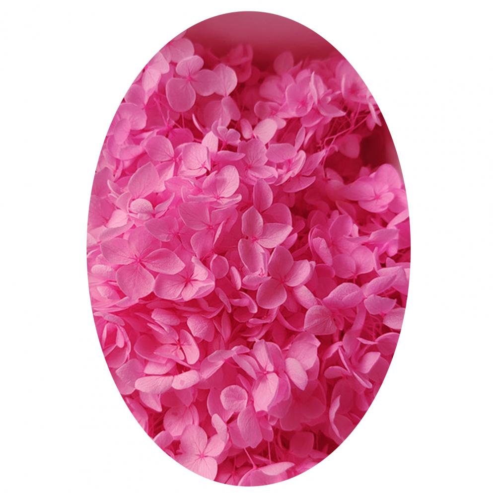 1 коробка цветных сухоцветов натуральные реалистичные головки гортензии своими руками натуральные свежие стабилизированные цветы гортензия свадебные сувениры