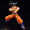 BANDAI SPIRITS Figure-rise Standard Dragon Ball Son Goku (NEW SPEC Ver.) Color-coded Plastic Model