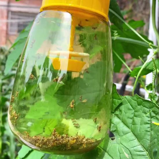 Fruit Fly Trap for Garden Hanging Melon Fly Catcher Outdoor Fly Trap Capture Fruit Flies from Trees Melons for Home Orchard