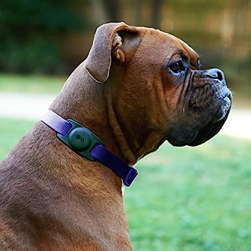 Case-Mate AirTag Dog Collar Holder Scratch-Resistant Pet Collar Case Silicone AirTag Protective Cover GPS Tracker Pendant for Dog & Cat Black 1 Pack