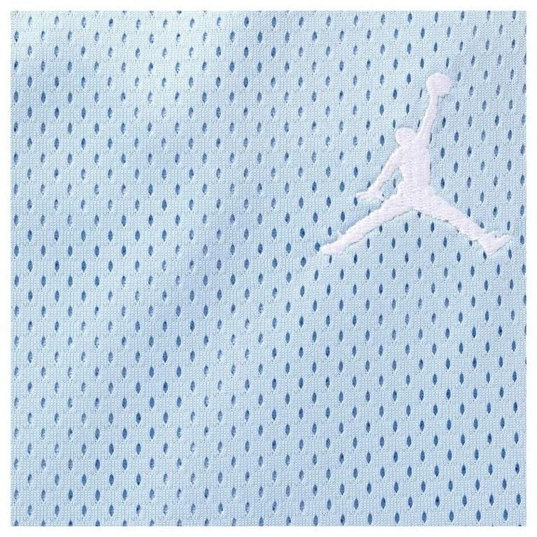 Supreme x Jordan Short Light Blue