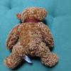 [USED] Teddy bear German Steiff