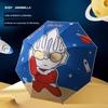 Аксессуары – Зонты
