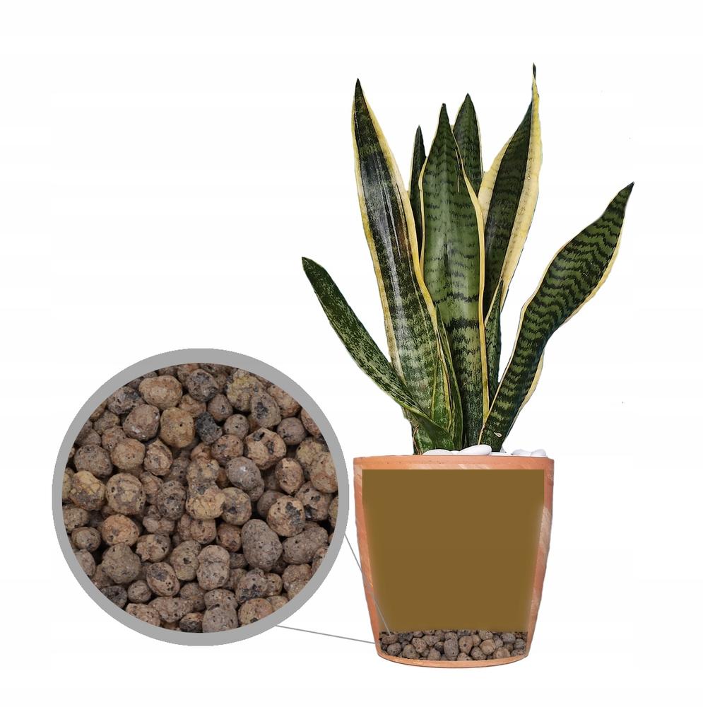 Expanded Clay Gardening 4-10 Drainage Substrate 20L