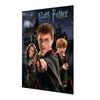 Harry Potter Canvas Print