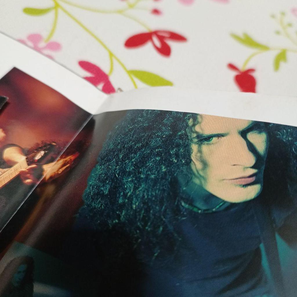 [ИСПОЛЬЗУЕТСЯ] блюз-сарацено, выбор для волос, блюз-сарацено, гитара