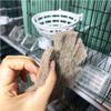Теплый волокнистый гнездо для канареек Подвесная кормушка-гнездо для разведения и высиживания Птичья клетка для мелких птиц Лежанка Игрушка для канареек Зябликов Попугайчиков