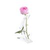 Clear Base Acrylic Display Stand Flat Bottom Gold Dipped Rose Flower Shelf  Home
