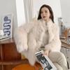 Winter New Imitation Fox Fur Imitation Coat Women's Milk Whirring Fleece Thickened and Thin Coat