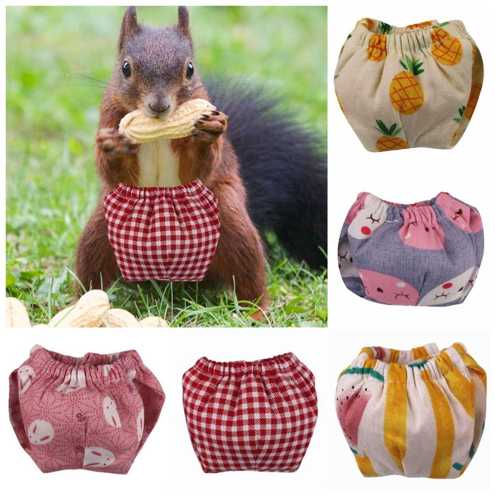 Absorbent Squirrel Diapers Flexible Closure Squirrel Underwear  For Guinea Pigs, Squirrels