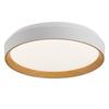 Nordic Japanese Style Round LED Ceiling Lamp for Bedroom - Eye Protection and Home Decor Lighting